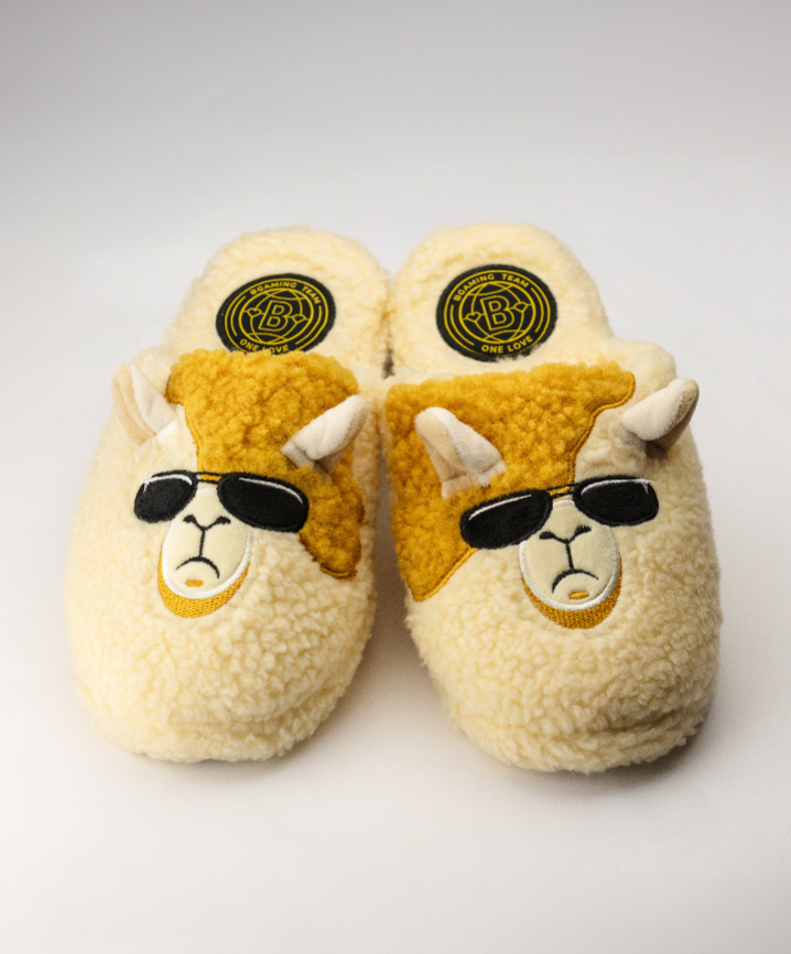 Slippers