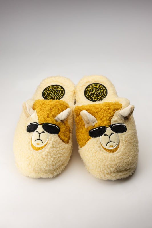 Slippers