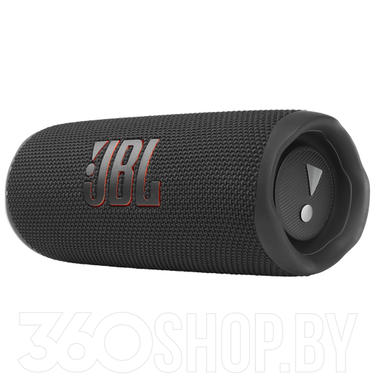 Portable speaker JBL Flip 6